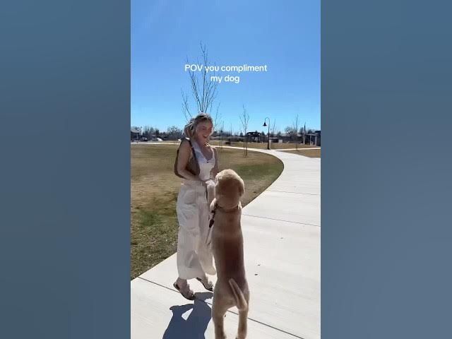 We both celebrate when he gets compliments 🥹 #dogs