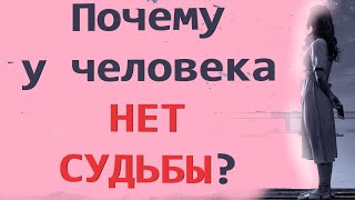 Судьбы у человека Нет?! Мудрые мысли. Митр Павел