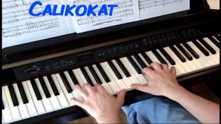 Leaving On A Jet Plane - Piano chords