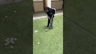 Golf practice sports #shorts #youtubeshorts #golf #golfswing #sports #richsports #viralshort