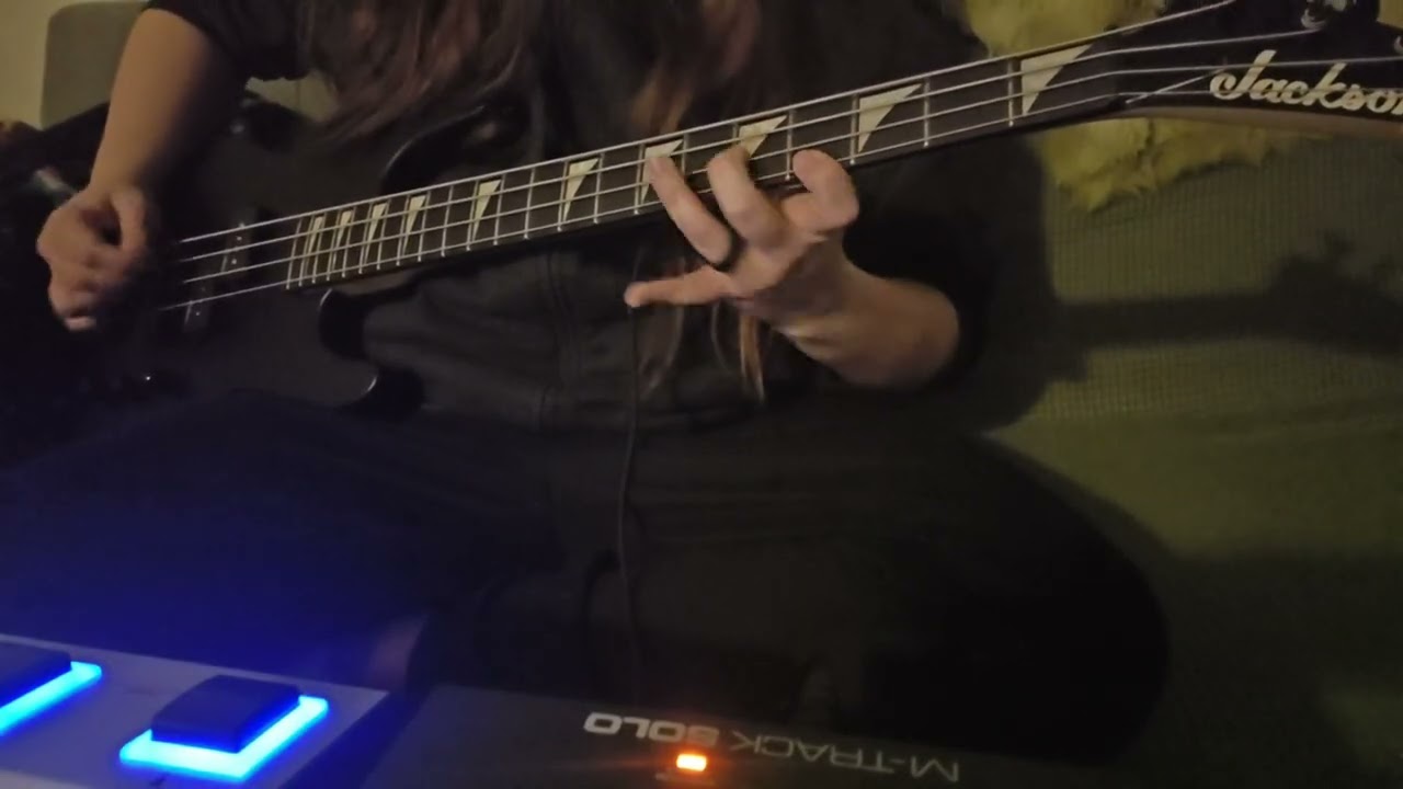 Tears For Fears - Head Over Heels Bass Cover