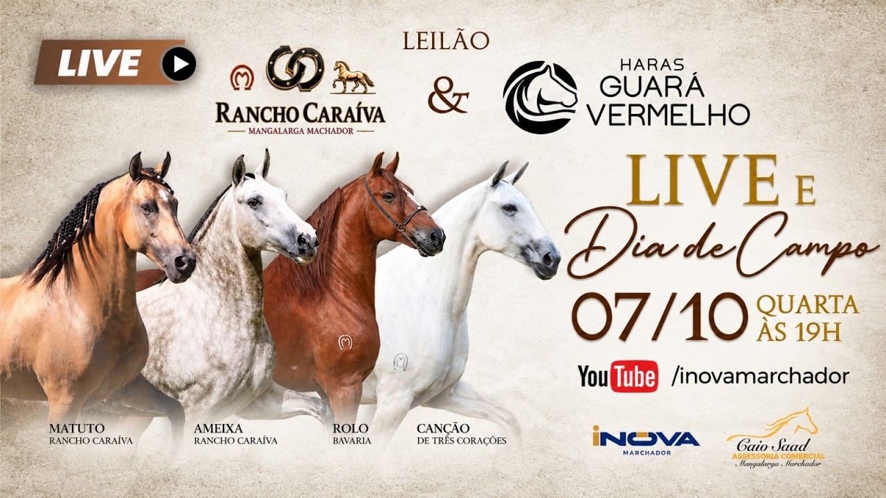 LIVE E DIA DE CAMPO - LEILÃO RANCHO CARAÍVA & HARAS GUARÁ VERMELHO