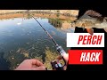 How to catch perch  the easy way