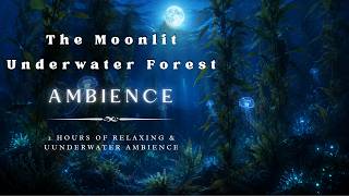 Moonlit Underwater Forest  Underwater Fantasy Ambience for Studying, Relaxing and Sleeping