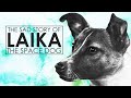 The Sad Story Of Laika The Space Dog | First Dog In Space | Sputnik 2
