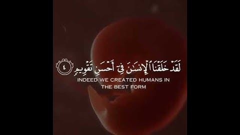 سورة التين والزيتون بصوت القارئ الشيخ ياسر الدوسري 💖