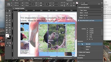 InDesign CC: Expanding Photos with Interactive pdf Buttons, Part 2