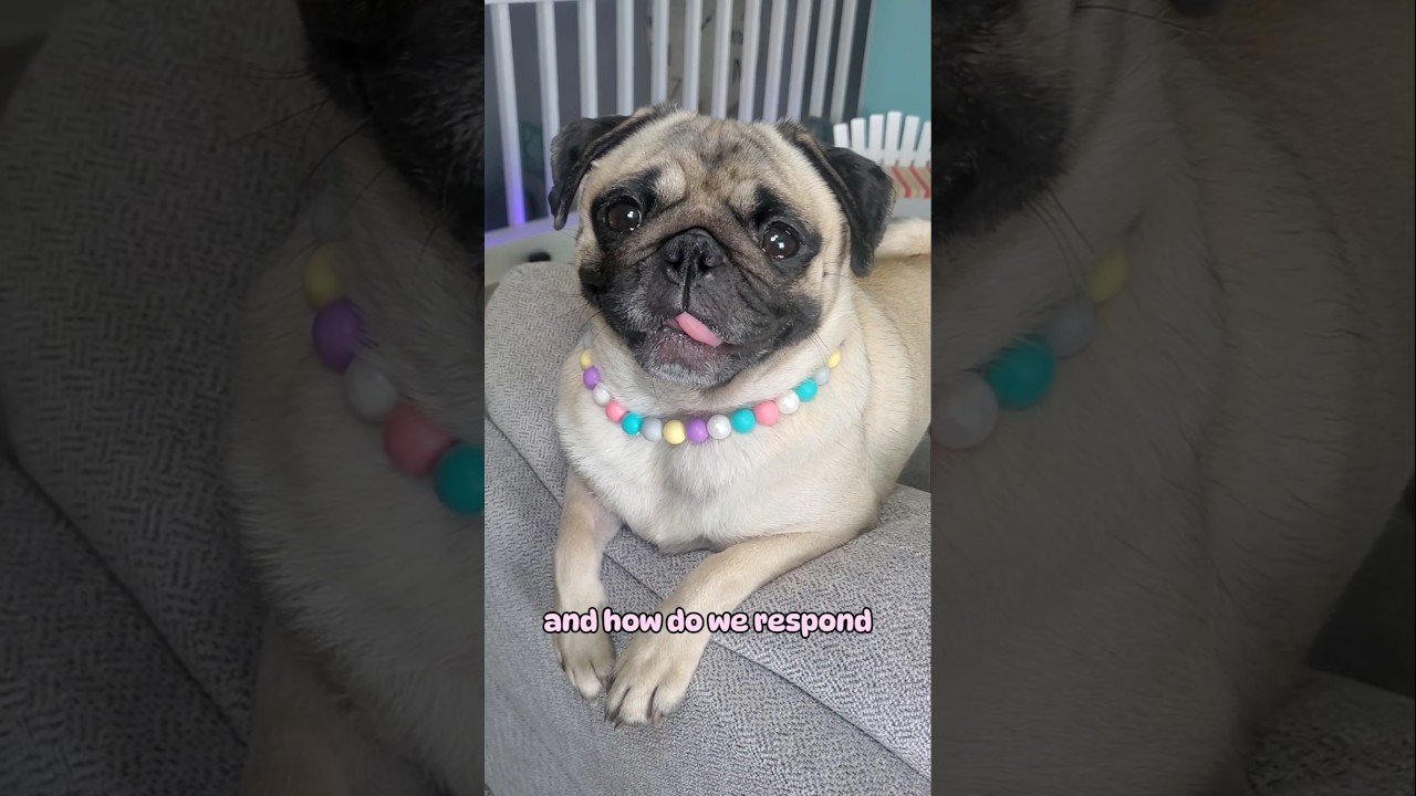 do you like my personality? 😄💜 