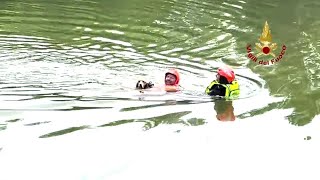 Così i vigili del fuoco hanno salvato un cane nel fiume Arno