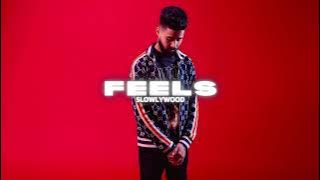 Feels - AP Dhillon (Slowed Reverb)