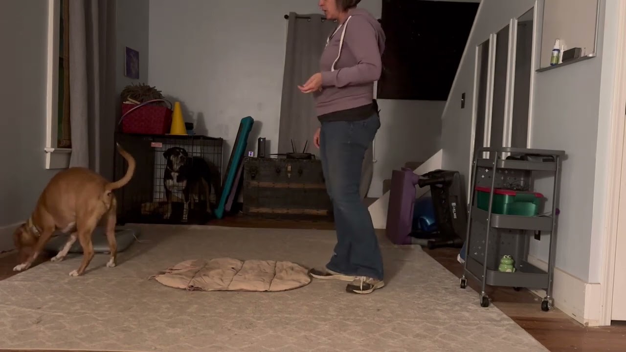 Lure down on mat Castor