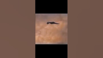 The YF-23 Black Widow