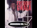 Freddy Gwala - Amadamara (1992) #WaarWasJy