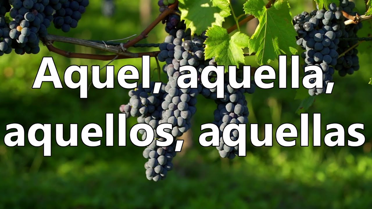 How To Say THAT And THOSE aquel Aquella Aquellos Aquellas In