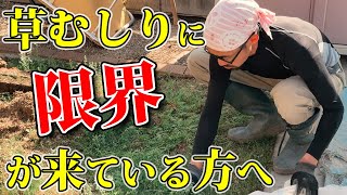 もうお庭の草むしりやめませんか…？○○すると1日で草むしりから解放された！
