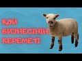 🎥Тері өңдейтін зауыттан репортаж