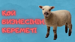 🎥Тері өңдейтін зауыттан репортаж