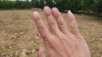 ( P11) 28 Tết Anh Hợp Xã Kiên Lao Thăm Vườn Táo Mới Trồng l Nui Doi Luc Ngan 98