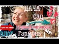 ВЛОГ | ПРОШЛЫЕ ПОБЕДЫ | ПЕРВАЯ ПРИВИВКА | ГАРМОНЬ И НОВЫЙ СЕЗОН | В СНТ НА ПМЖ