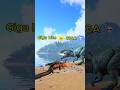 #arksurvivalevolved #ark #dinosaur #arksurvivalascended #indominusrex #shorts #arkshorts