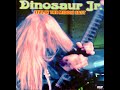 Dinosaur Jr. Live in the Middle East (07-Forget the Swan)