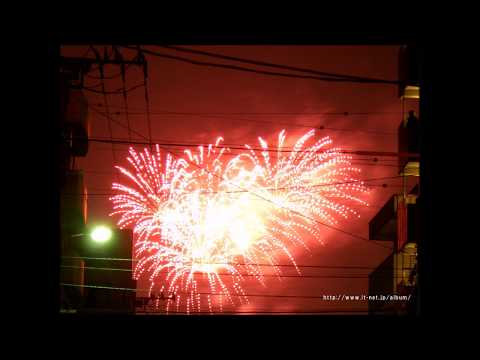 第30回 隅田川花火大会 2007年