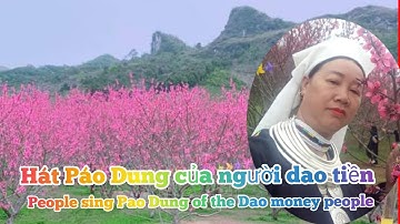 The song of the Dao money people ♠ PHÚC - DAO TIỀN TÌNH YÊU