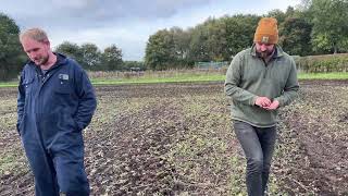 Atkin Farms drilling 1st wheat 11th Oct 2022