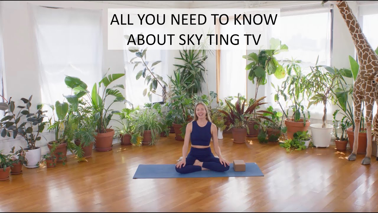All You Need to Know About SKY TING TV