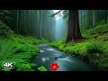 Restore Your Nervous System🌿Relaxing Music to Stop Overthinking, Stress Relief | Healing Time
