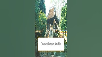 Con nuôi Cha không bằng Bà nuôi Ông #tucngu | Minh Triết trong Tục ngữ Thành ngữ Việt Nam