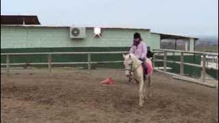 Vany primera clase CADE club alcareeño de equitacion