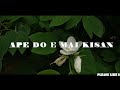 APE DO E MAI KISAN HOL DOKHELARAM Mp3 Song