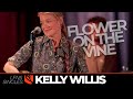 Flower on the vine  kelly willis