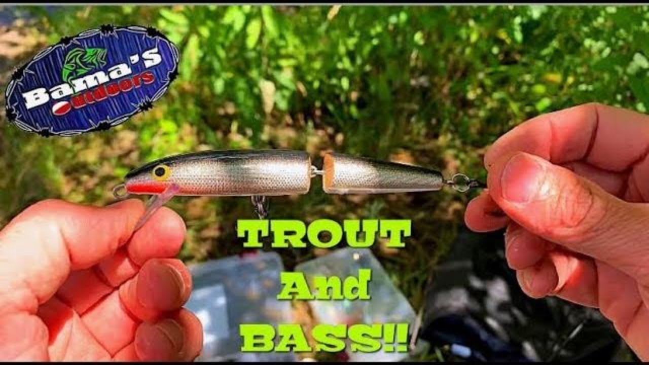 Fishing For TROUT and BASS at a DAM!! RAPALA Broken Back Minnow