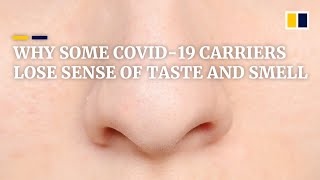Hong Kong research may explain why Covid-19 carriers lose sense of taste