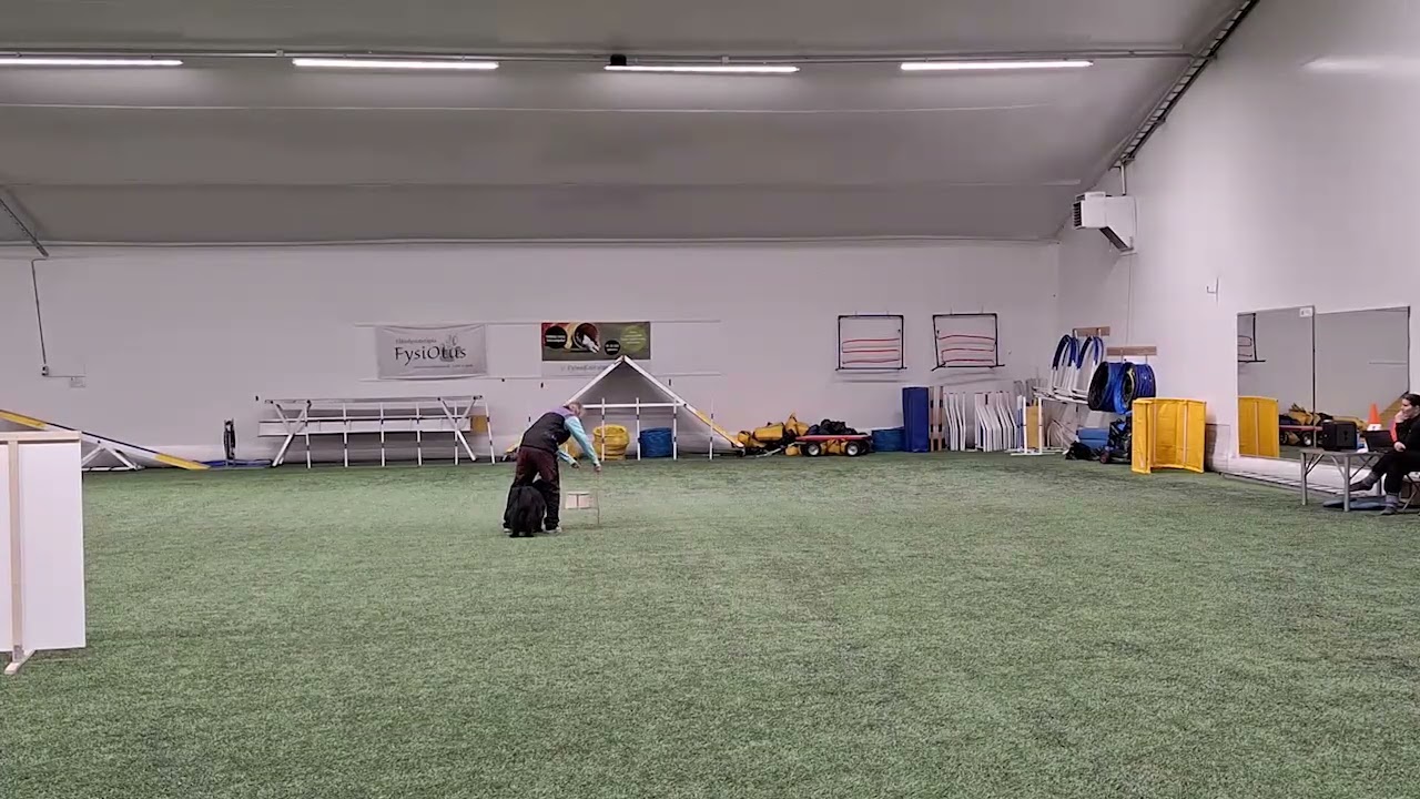 2026 vko7 koiratanssi Kiki3