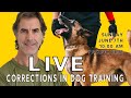 The Need for Corrections in Dog Training