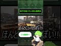【APEX】可愛いよちよち初心者野良さん【#shorts 】
