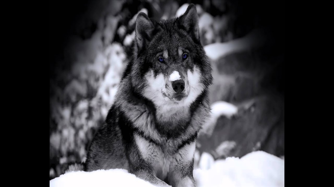 Dj Dirt - Locked Inside Your Mind (Breeze & Styles Remix)