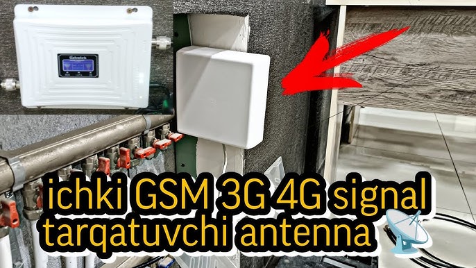 Арыстандардағы секс аналар