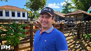 ELE TIRA LEITE NO MODO ANTIGO EM UMA FAZENDA CENTENÁRIA… OLHA SÓ ISSO!