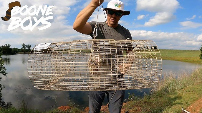 How to Catch Crawfish with a Minnow Trap 