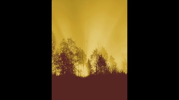 Serenity [Original Composition]