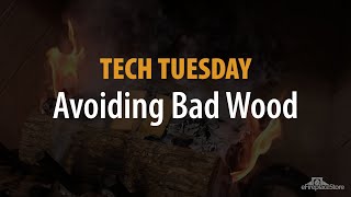 Tech Tuesday: Burning Bad Wood - eFireplaceStore