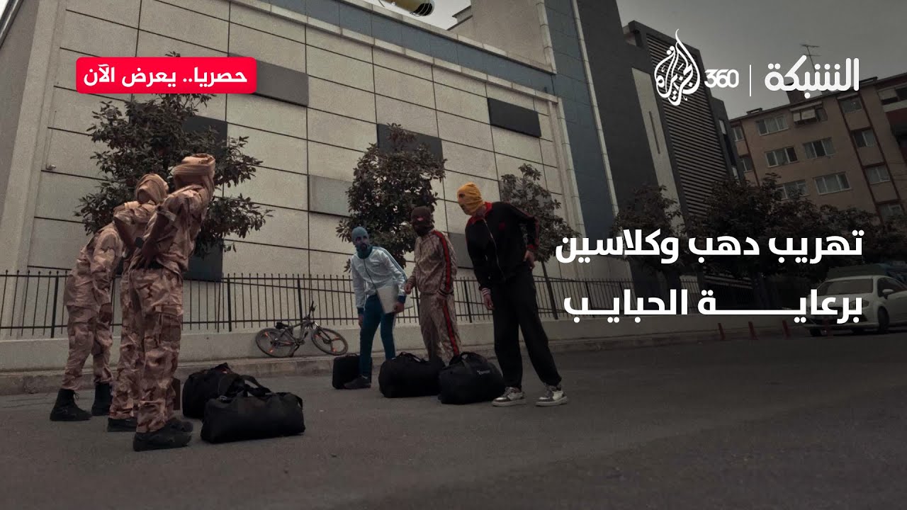 تعاون استراتيجي بين الشبيحة: مش مهم الجنسية، المهم الدهب والكلاسين لأن بلد الحبايب ناطرين! | الشبكة