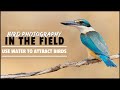 Bird Photography | Take Amazing Photos Using Water To Attract Birds |  In The Field Vlog #2