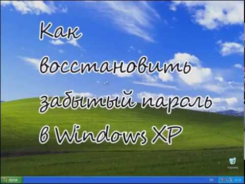 Как восстановить забытый пароль Windows XP?