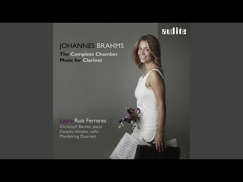 Sonata in E-Flat Major, Op. 120 No. 2 for Clarinet and Piano: I. Allegro amabile