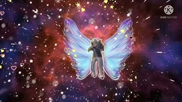 vector vibe🪄😂😂